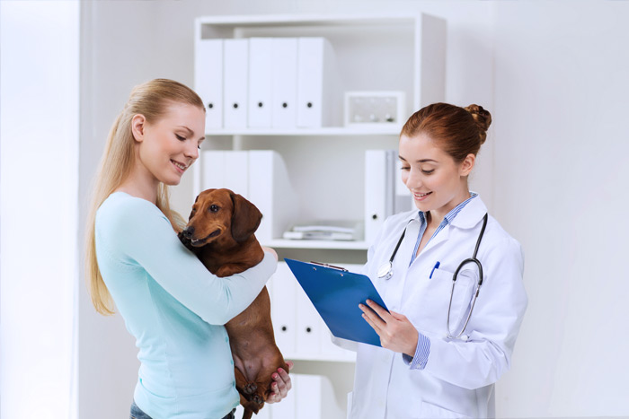 ЭЦП для оформления ветеринарных сертификатов (ГИС Меркурий) в Чехове